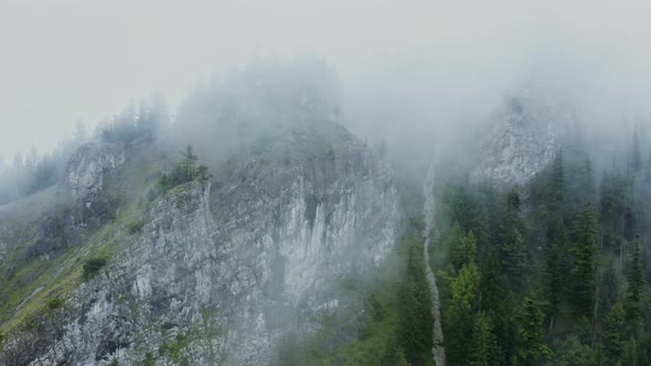 A Mountain River Flowing From the Steep Rocky Mountains Among the Spruce Forest