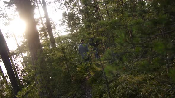 Young men hiking through a forest near a lake.