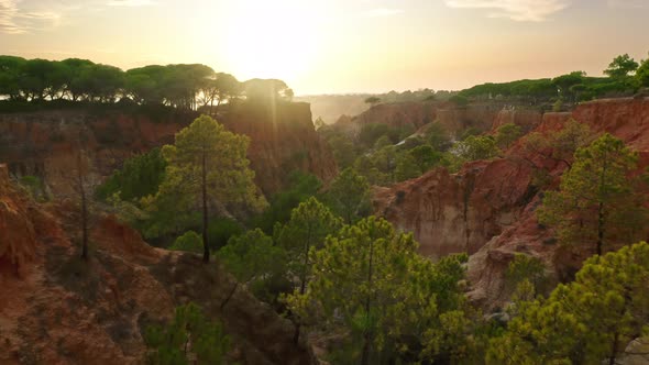 Aerial Footage of Beautiful Nature at Sunset