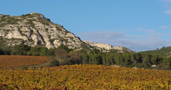 Mountains of the Alpilles overlooking the vineyards, Saint Remy de Provence, France