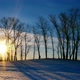 Shoot Of Sunset In Winter Forest 1 - VideoHive Item for Sale