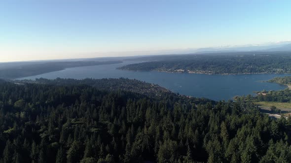 Aerial Over Washington Forest Trees Revealing Lake Sammamish