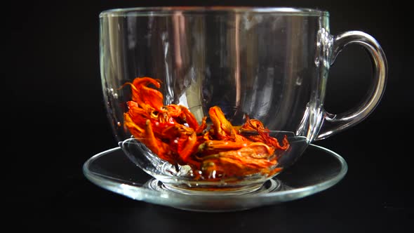 Flower tea from lily petals.