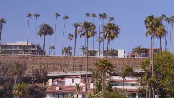 Panning shot pointing Cliffside off Ocean avenue in Santa Monica.  Palm trees swaying in the wind ri