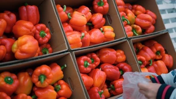 Young Woman Choosing Red Pepper in Grocery Store