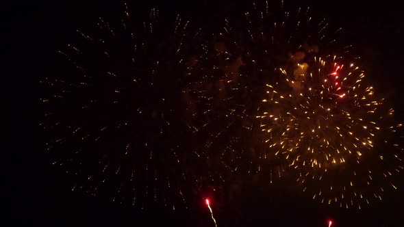 Colorful Firework display at night on sky background alt