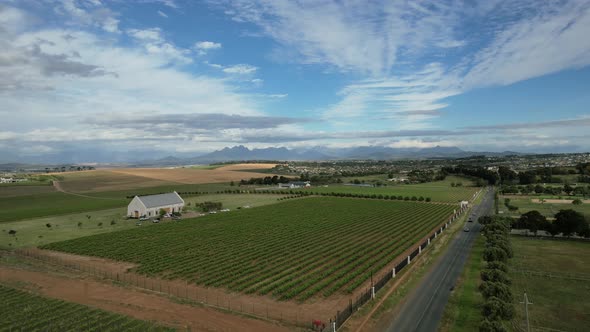roadside vineyard with white farmhouse in Franschoek South Africa, aerial