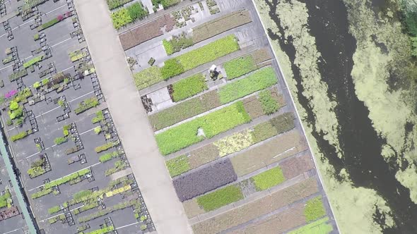 Drone descending to working man in nursery garden