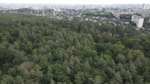 Megalopolis Next To the Forest: the Contact Between the Big City and Nature. Aerial View. Slow