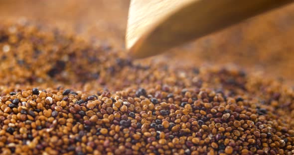 Brown Raw Canihua Pours From Wooden Spoon Close Up. South American Grain. 