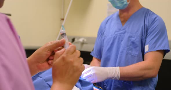 Surgeon operating a dog in operation theater 4k