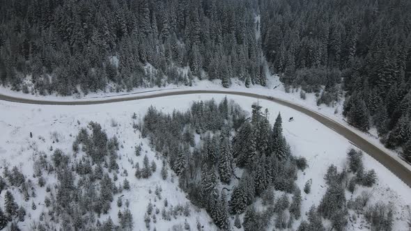 Snowy Highway