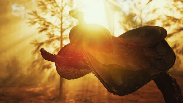 Vintage Leather Horse Saddle on the Dead Tree in Forest at Sunset