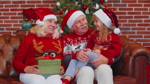 Happy Senior Grandparents with Granddaughter Enjoying Pleasant Conversation in Christmas Home Room