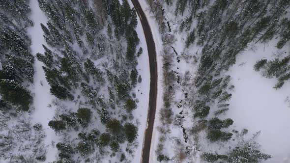 Aerial view following road winding through forest in winter