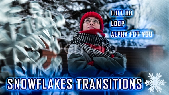 Snowflake Transitions