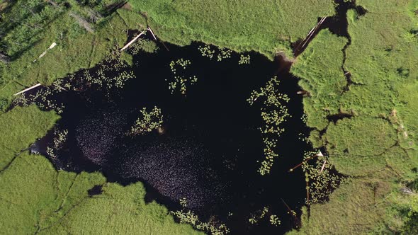 Aerial top down drone view of little lake surrounded by boggy ground in Oregon.