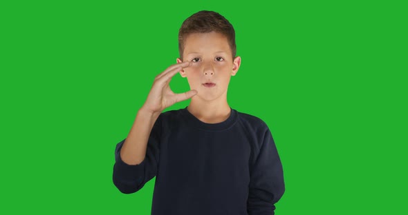 Deaf Boy Signing I Know Sign Language, Communication for Hearing Impaired. Green Screen