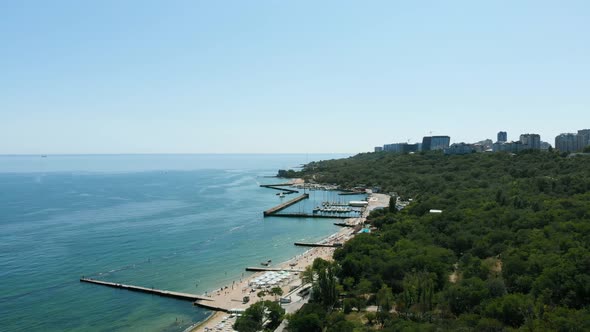 Aerial of Sea and Beach