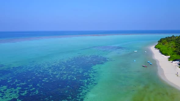 Aerial view abstract of island beach wildlife by clear sea and sand background