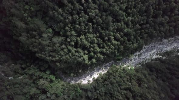 Aerial top view of the forest in Sugana Valley, Trentino, Italy with drone rotating while descends