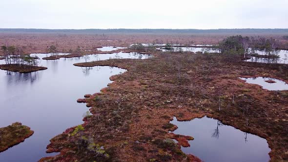 Aerial birdseye view of Dunika peat bog (mire) with small ponds in overcast autumn day, wide drone s