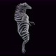 55 Zebra Dancing 4K - VideoHive Item for Sale
