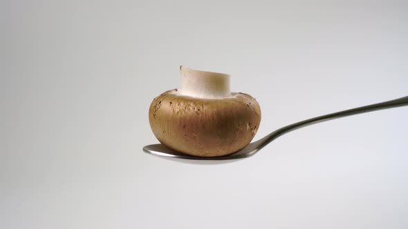 Raw chamignon mushroom in a metal spoon on a white background. In a metal spoon