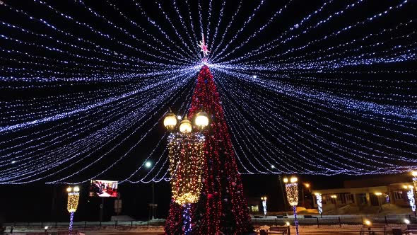 Christmas Tree in the Park at Night