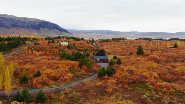 Aerial View of Colorful Autumn Landscape in National Park Thingvellir, Iceland