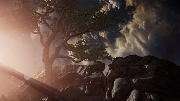 Beautiful View Above Cloudscape and Mountains alt