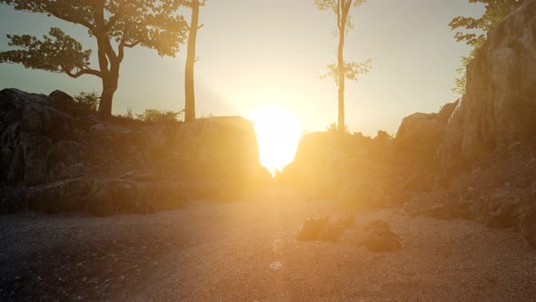 Trees on Rocks in Mountains at Sunset alt
