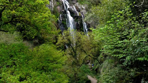 Aerial Drone Slow Rising Behind Tree To Reveal Fervenza do Toxa Waterfalls Cascading Down Rockface