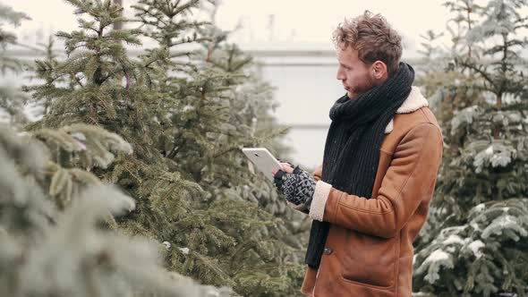 Handsome Man in Stylish Wearing Is Using a Notepad and Choosing Christmas Tree at Market