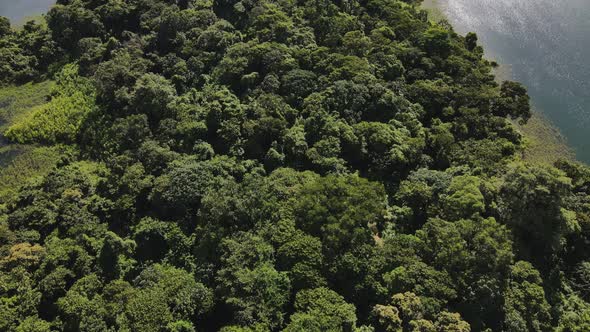 Aerial footage of vast leafy rainforest fully covering a peninsula at lake Arenal in Costa Rica. Dro