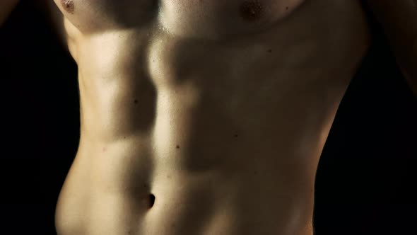 Close Up Torso of Sporty Man.