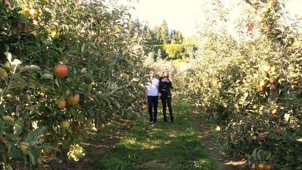 Couple walking through apple orchard