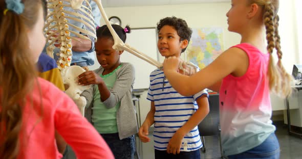 Multi-ethnic school kids fixing skeleton model in classroom at school 4k