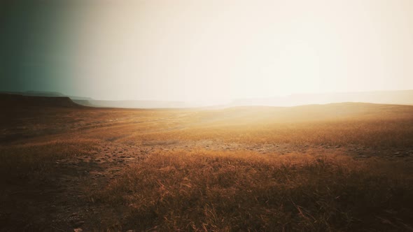 Dry Yellow Grass on the Rocky Mountain with Heavy Fog