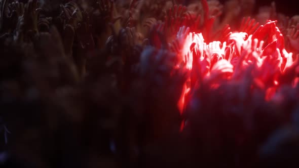 Concert Crowd Hands 4k alt