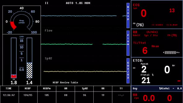Interface Of Artificial Lung Ventilation Displays Vital Signs Emergency alt
