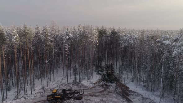 Forest harvester and forwarder drive into the winter forest 08