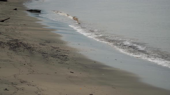 Dark volcanic sand on shore of an island with gentle waves breaking, real time