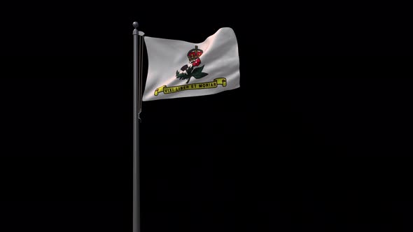 Annapolis City Flag With Alpha 4K