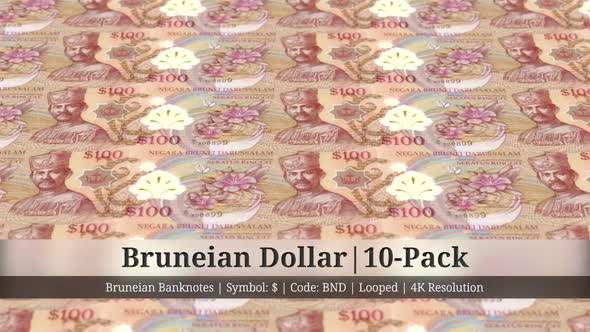 Bruneian Dollar | Brunei Currency - 10 Pack | 4K Resolution | Looped