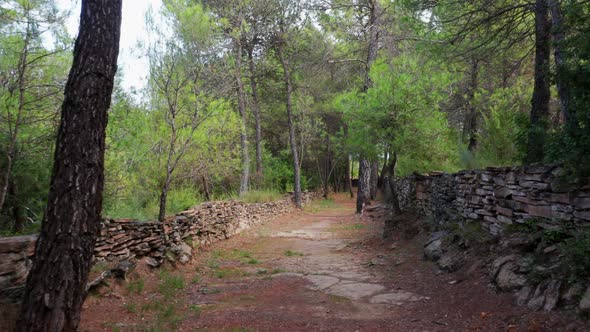 Walking through a dirt trail surrounded by small stone wall and green forest with painted trees