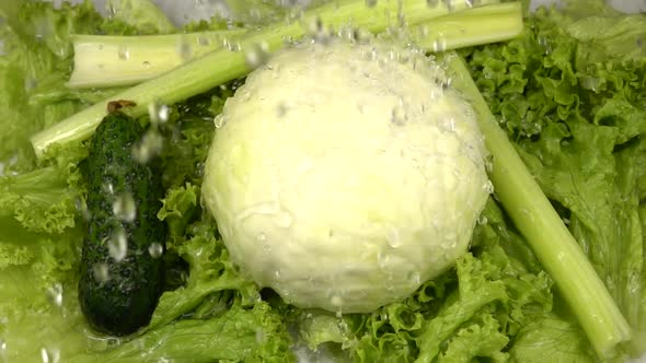 Trickles of water pouring onto the white cabbage, lettuce, celery stalks and cucumber. Slow motion.