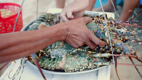 Lobster Seller Fisherman on the Beach Sells Lobsters to Vacationers on the Beach Fresh Lobsters