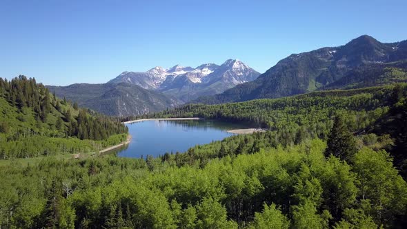 Aerial view of lake surrounded by green forest