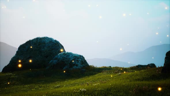 Big Stones in Grass Field